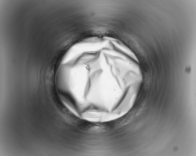 X0000101960364200808151320