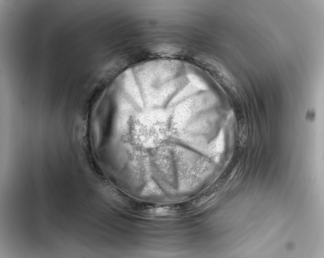 X0000101960365200808151320