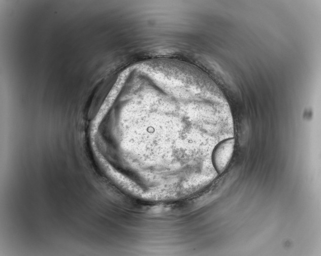 X0000101960366200808151320