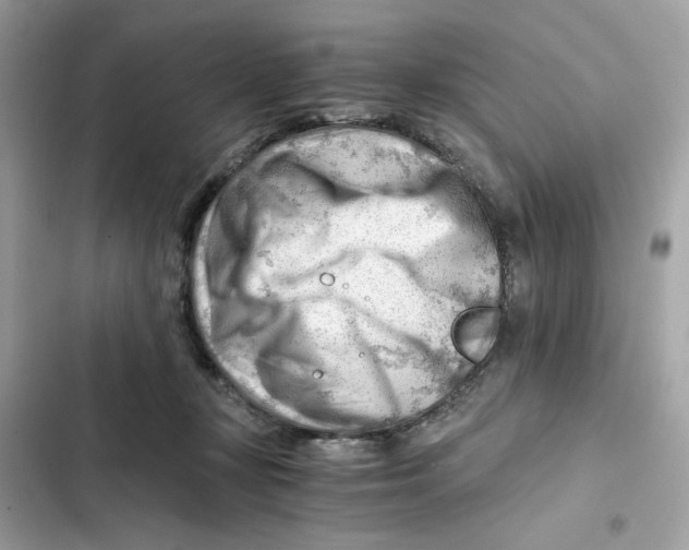 X0000101960367200808151320
