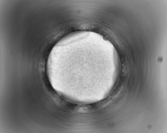X0000101960368200808151320