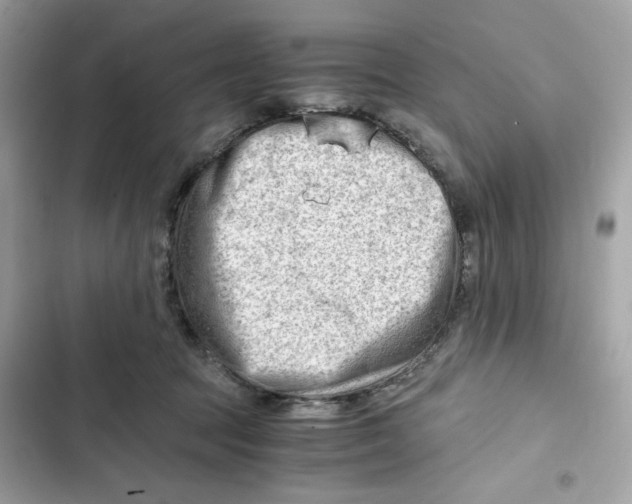 X0000101960369200808151320