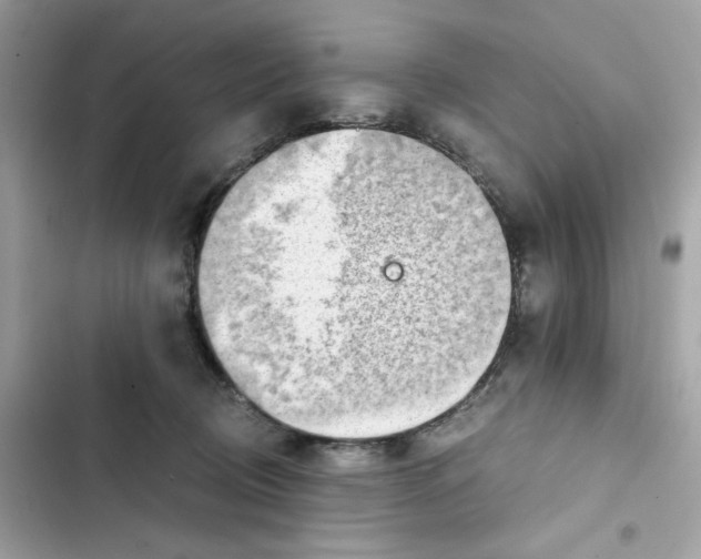 X0000101960370200808151320