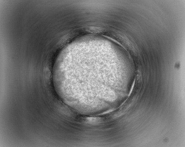 X0000101960371200808151320