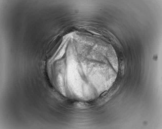 X0000101960372200808151320