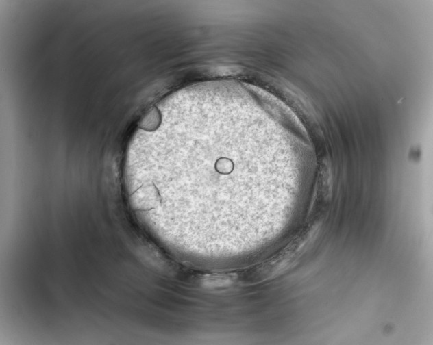 X0000101960373200808151320