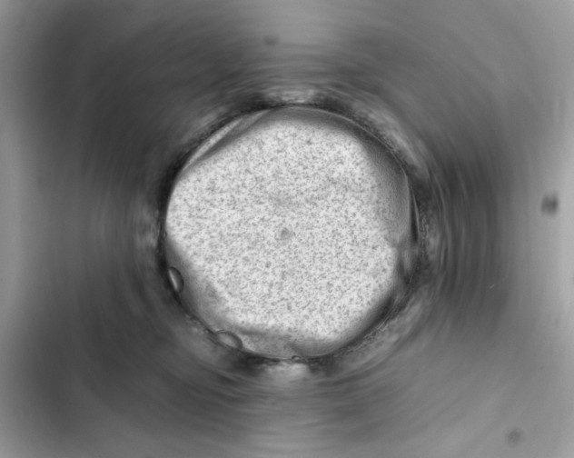 X0000101960374200808151321