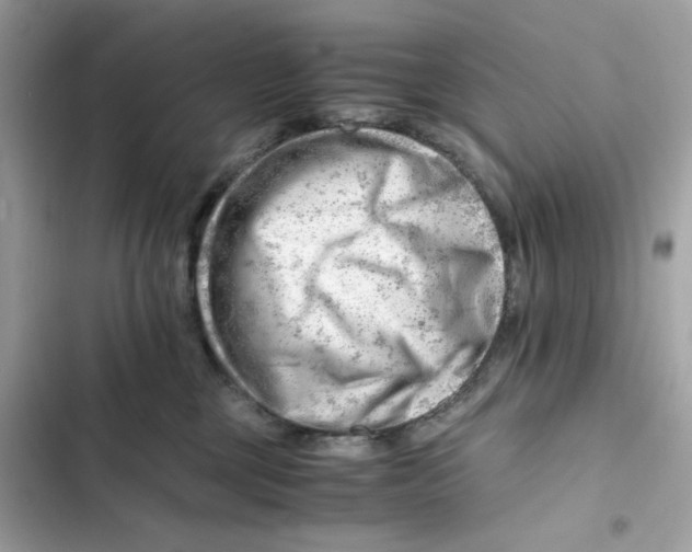 X0000101960377200808151321