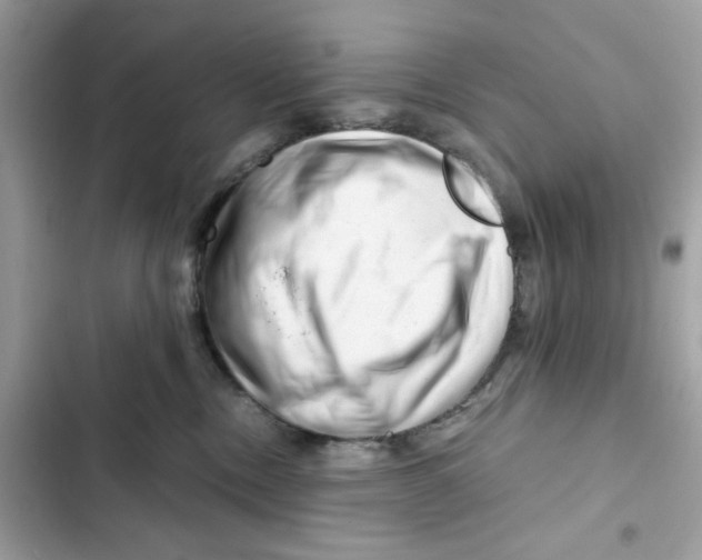 X0000101960378200808151321