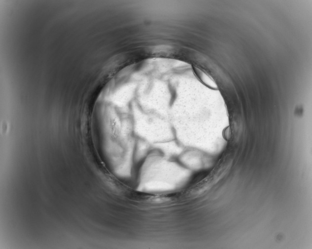 X0000101960379200808151321