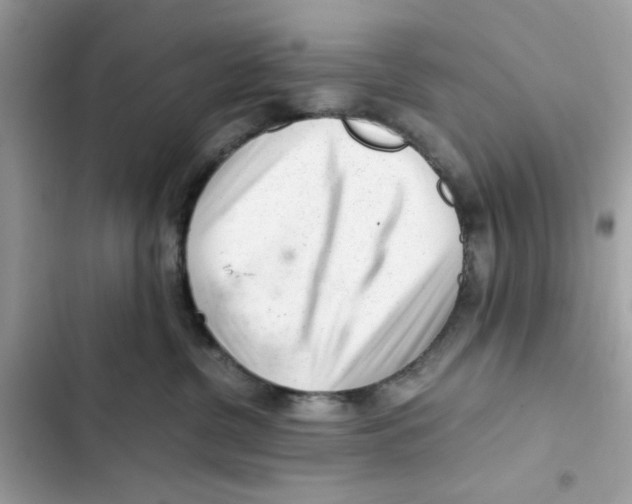 X0000101960380200808151321