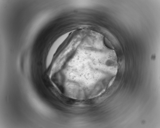 X0000101960381200808151321