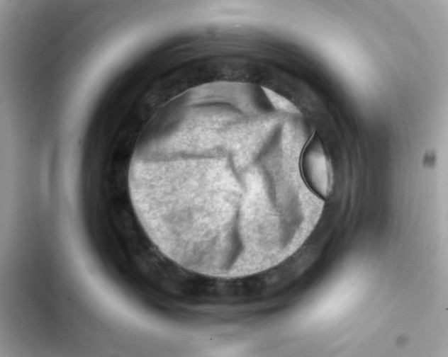 X0000101960383200808151321
