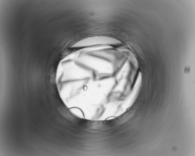 X0000101960384200808151321