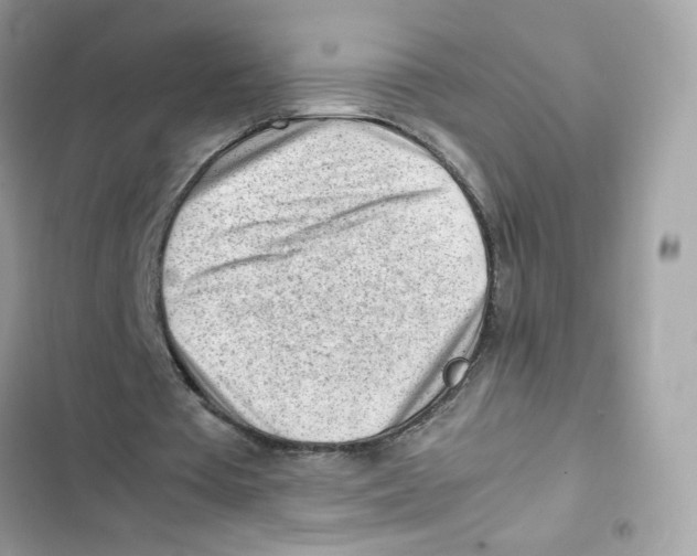 X0000101960385200808151320