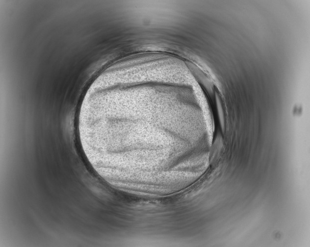 X0000101960386200808151320