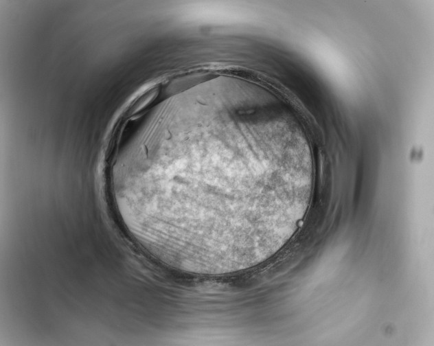 X0000101960387200808151320