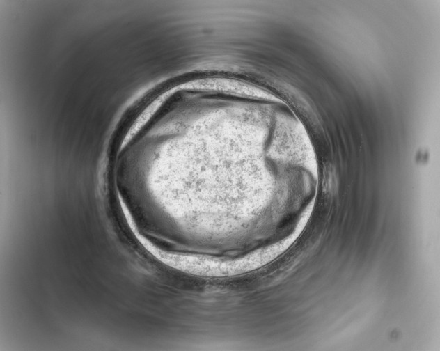 X0000101960388200808151320