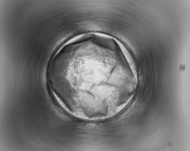 X0000101960390200808151320