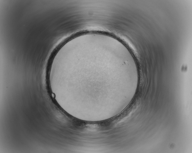 X0000101960391200808151320