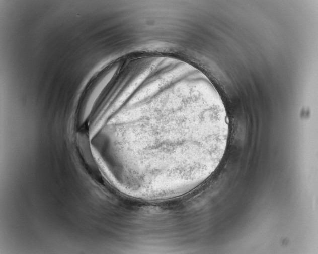 X0000101960392200808151320