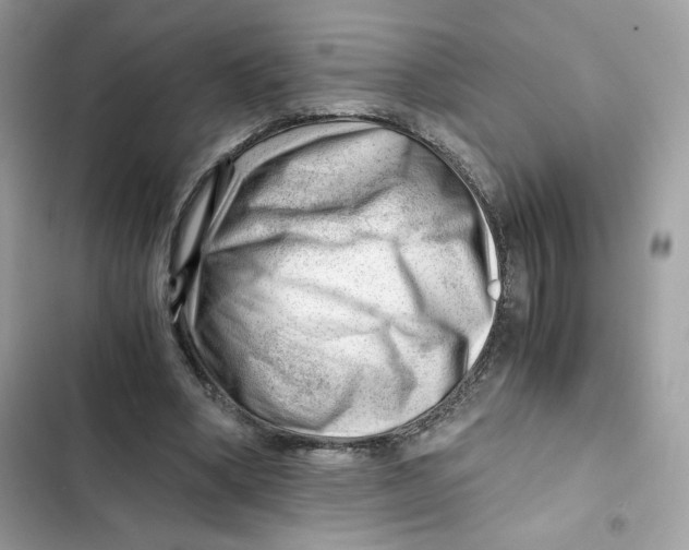 X0000101960394200808151320