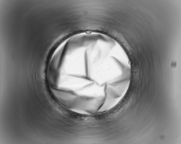X0000101960395200808151320