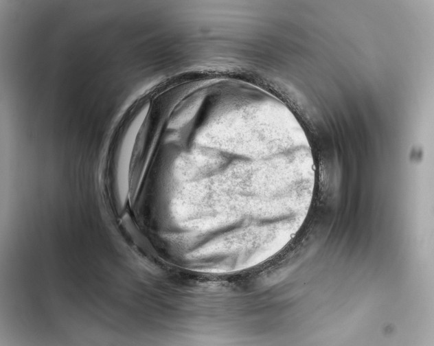 X0000101960396200808151320