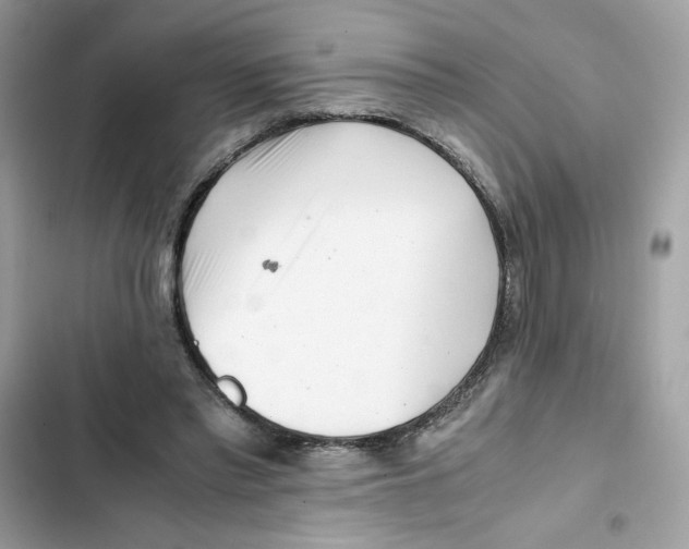 X0000101960397200808151320
