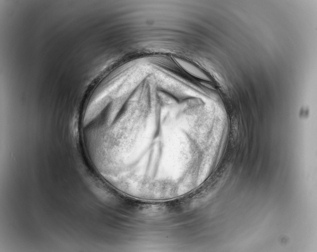 X0000101960398200808151320
