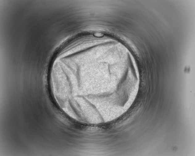X0000101960399200808151320