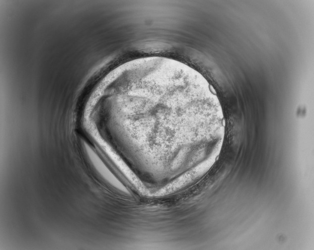 X0000101960400200808151320