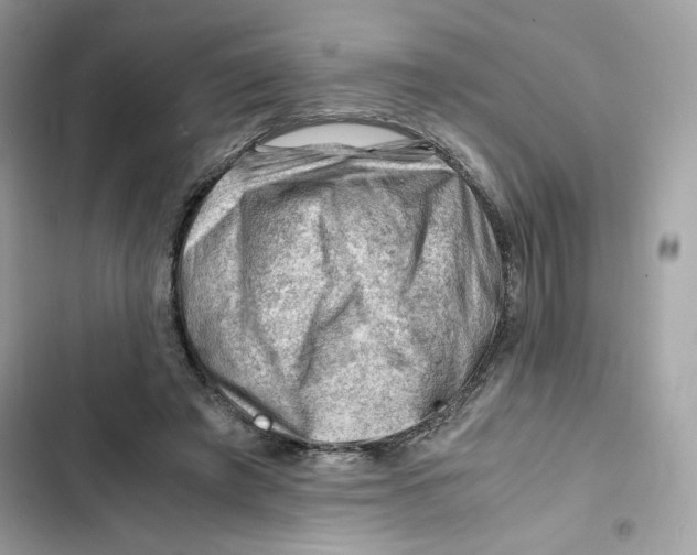 X0000101960401200808151320