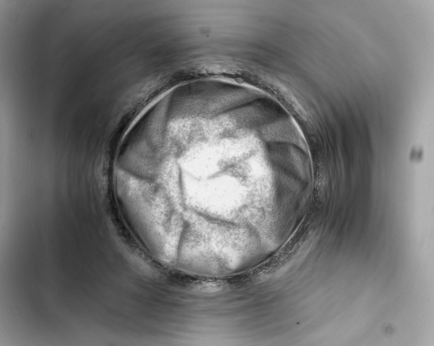X0000101960402200808151320