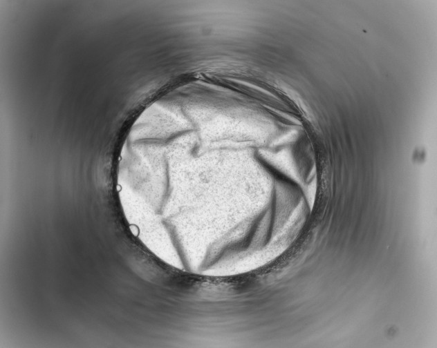X0000101960403200808151320