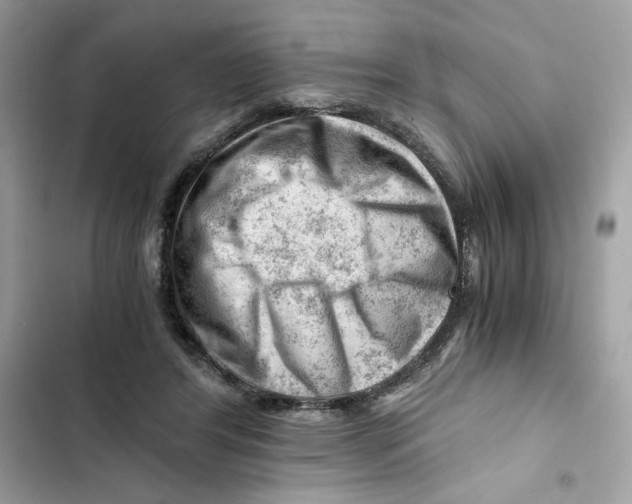 X0000101960404200808151320