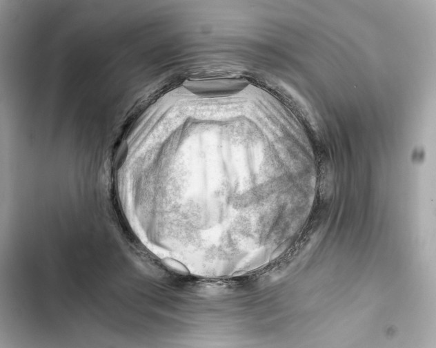 X0000101960405200808151320