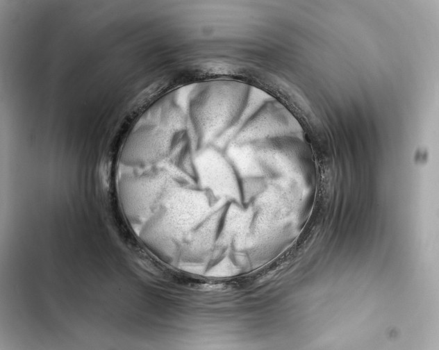 X0000101960406200808151320