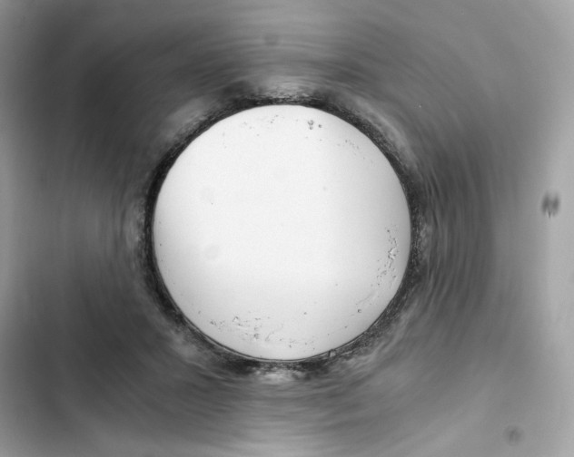 X0000101960407200808151320