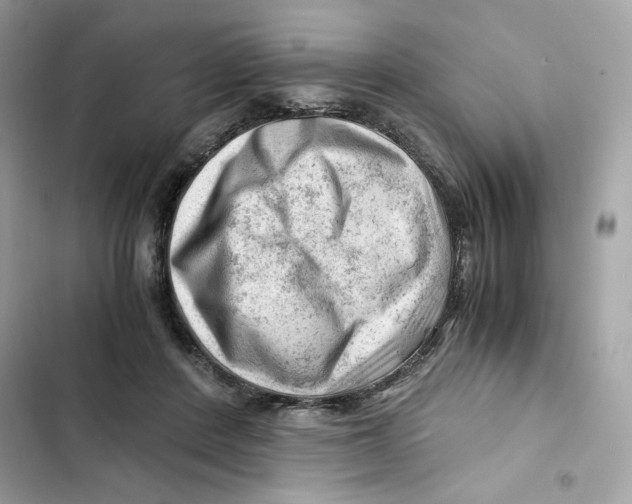 X0000101960408200808151320