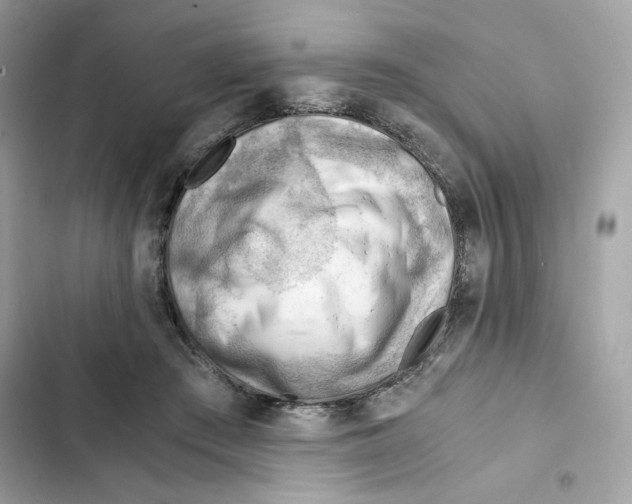 X0000101960409200808151320