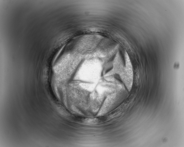 X0000101960410200808151320