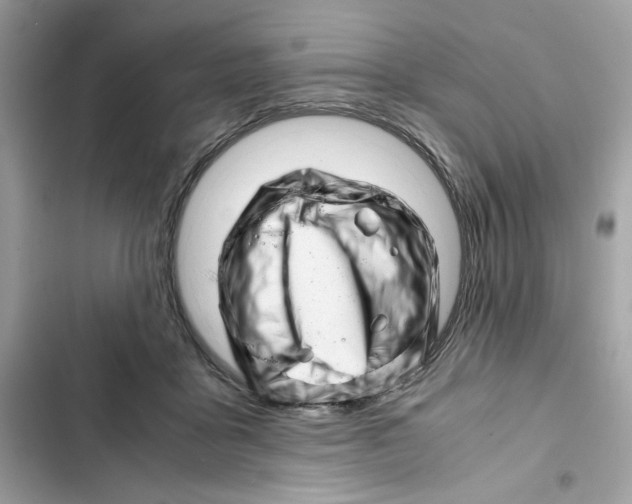 X0000101960411200808151320