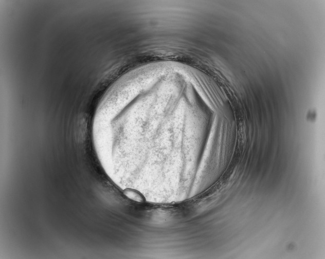 X0000101960412200808151320