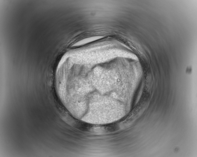 X0000101960413200808151320