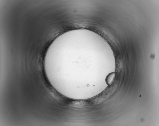X0000101960414200808151320