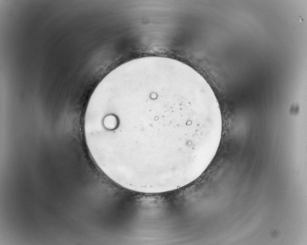 X0000101960415200808151320