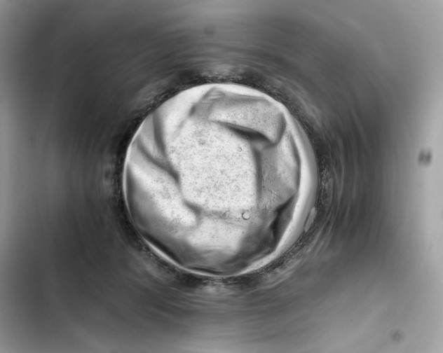 X0000101960416200808151320