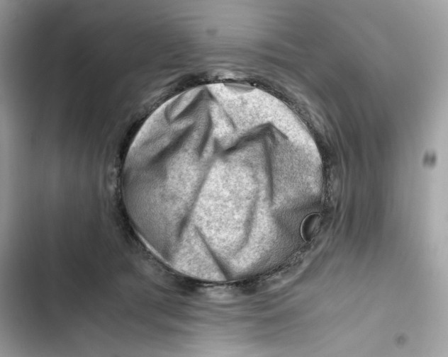 X0000101960417200808151320