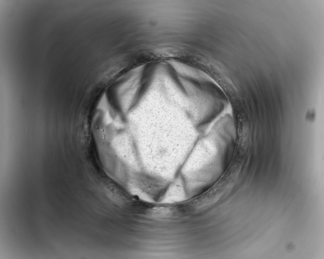 X0000101960418200808151320